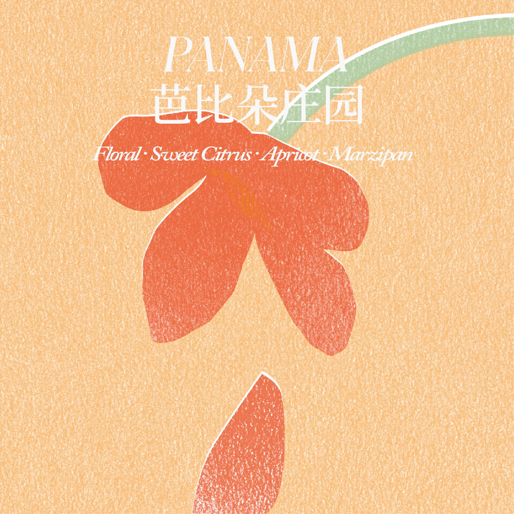 巴拿马 沃坎火山 芭比朵庄园 芭比朵 卡杜拉/卡杜艾 水洗处理